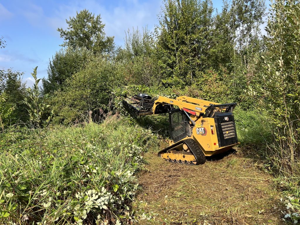 Brush clearing service Fraser Valley excavator